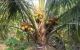 thum-9145020_hnAB3OtsfL_1721804401.jpg