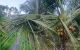 thum-m_5z8MSD60ea_1721804391.jpg