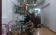 thum-m_VefujvL1bd_1721785398.jpg
