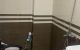thum-9145451_Tn1hZ5LM6F_1721925035.jpg