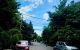 thum-9145535_wcnSWAKjed_1721968277.jpg