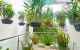 thum-m_3Q9NXYZRKT_1721968347.jpg