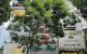 thum-m_8UZwjCnmF5_1721989305.jpg