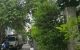 thum-9145685_JhkP7L1npt_1722052454.jpg