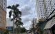 thum-m_yhViM1CRQt_1722242317.JPG