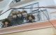 thum-m_60EesMadVt_1722307596.jpg