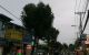 thum-m_3G4SuDcCk6_1722433758.jpg