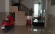 thum-9146918_ZzPcKLSe9p_1722501825.jpg