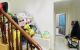 thum-m_sQ3YHL0nDG_1722650369.jpg