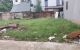 thum-9147655_dYGxoFDQUg_1722867664.jpg