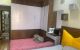 thum-9147660_6wv85bIQKo_1722869048.jpg