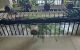 thum-m_SZbtYMmE3u_1722915623.jpg