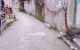 thum-9148202_aqyAQKB4X2_1723079590.jpg