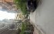 thum-m_1HLIM4KTqE_1723195244.jpg