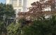 thum-m_2QqPmbAVLt_1723302744.jpg