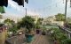 thum-9148968_F0q6QEdYpb_1723448921.jpg