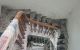 thum-9149204_RMlarS9y2G_1723564857.jpg