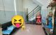 thum-m_s4RMkJQnxz_1723515254.jpg