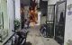 thum-9149252_Im1MLx4jNT_1723603562.jpg