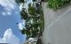 thum-9149355_697X2PWLxe_1723627222.jpg