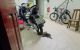 thum-m_k9ndLVweHz_1723612163.jpg