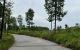 thum-9149476_mt2nCrpyVI_1723691748.jpg