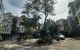 thum-m_TtCgOqp6Sr_1723971686.jpg