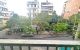 thum-9150211_uIWxNXJArR_1724064696.jpg
