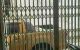 thum-9150239_ukiqP3Or4F_1724081873.jpg