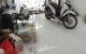 thum-9150620_NmAW8cCKpZ_1724253711.jpg