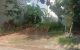 thum-m_ZDyziQImx5_1724290157.jpg