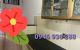 thum-9151233_piM9e3ZxRh_1724638137.jpg
