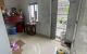 thum-9151247_NvJh80XkH7_1724642812.jpg