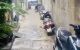 thum-9151393_ukL7mdCjWX_1724667502.jpeg