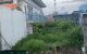 thum-9151836_ZfrMqgGAon_1724898281.jpg