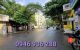 thum-m_U2InMmHg4o_1725285798.jpg