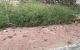 thum-m_B0wUEXYZhS_1725456819.jpg