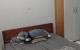 thum-9152667_rThldJUFnM_1725501732.jpg