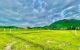 thum-9152975_SbIpsFQwr2_1725678624.jpg