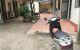 thum-m_3TusRLdawZ_1725875254.jpg