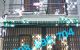 thum-m_bTsaZqoD6i_1726209804.jpg