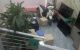 thum-9154018_osZWS9OhvY_1726290110.jpg