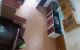 thum-9154317_QbBJnjv8dG_1726526109.jpg