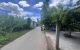 thum-9154472_258s1ZrNyR_1726568515.jpg