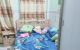 thum-9154768_B0Xo8msTb7_1726731000.jpg
