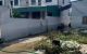 thum-9155060_9nmBJC3drb_1726848308.jpg