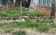 thum-9155163_LiXoJ9yufR_1726909454.jpg