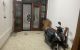 thum-9155321_6LMeFPGIBc_1727054208.jpg
