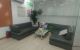 thum-9155597_L3At2m4RJb_1727153762.jpg