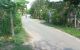 thum-9155717_53ydcILEBx_1727227343.jpg